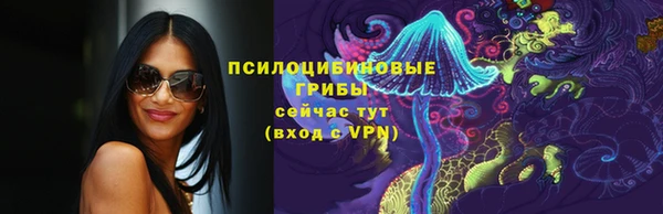 метамфетамин Богданович
