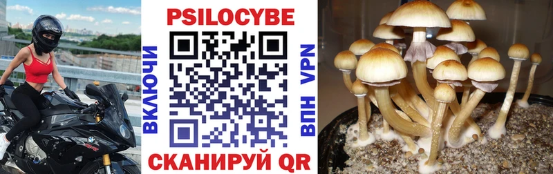 где купить наркоту  Комсомольск-на-Амуре  Псилоцибиновые грибы Psilocybine cubensis 